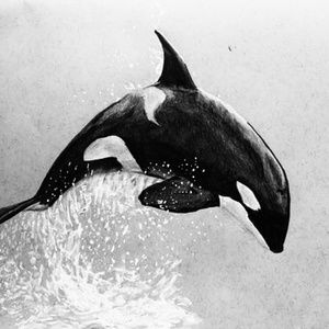 Meet your Posher, Killer